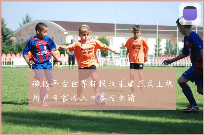 微信平台世界杯投注渠道正式上线用户可官方入口参与竞猜