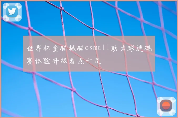 世界杯金猫银猫csmall助力球迷观赛体验升级看点十足