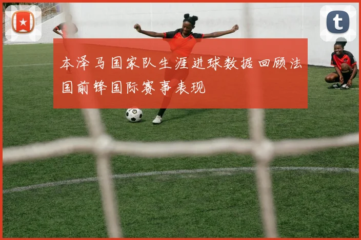 本泽马国家队生涯进球数据回顾法国前锋国际赛事表现