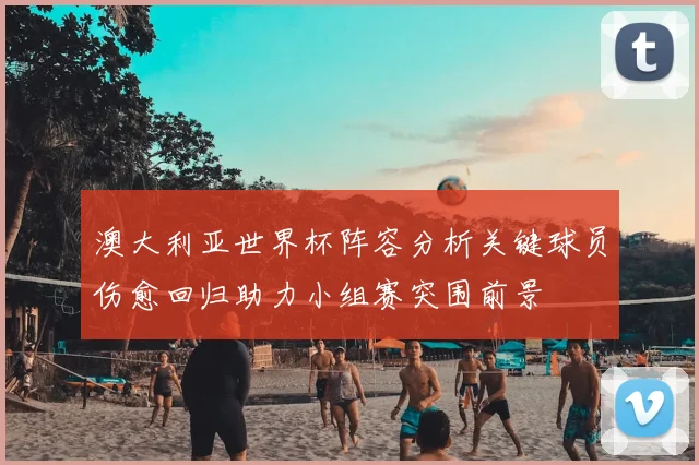 澳大利亚世界杯阵容分析关键球员伤愈回归助力小组赛突围前景