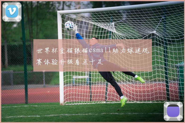 世界杯金猫银猫csmall助力球迷观赛体验升级看点十足