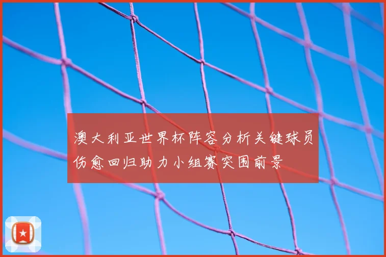 澳大利亚世界杯阵容分析关键球员伤愈回归助力小组赛突围前景