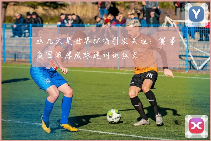 这几天是世界杯吗引发关注,赛事氛围浓厚成球迷讨论焦点