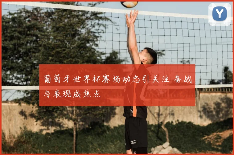 葡萄牙世界杯赛场动态引关注 备战与表现成焦点